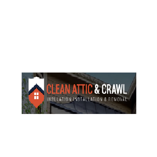 cleanatticandcrawl1